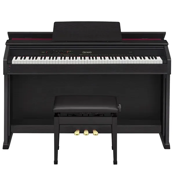 Music City – Tổng Kho Piano, Guitar, Organ | Dịch Vụ Giáo Dục Âm Nhạc