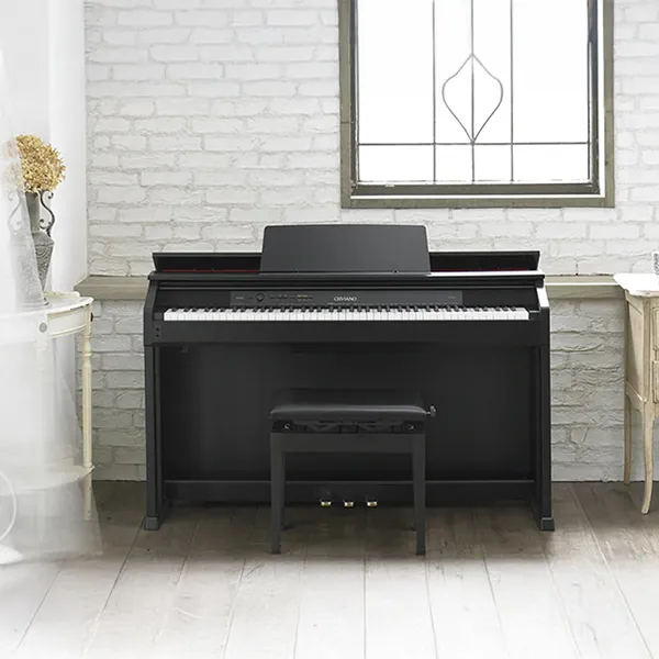 Music City – Tổng Kho Piano, Guitar, Organ | Dịch Vụ Giáo Dục Âm Nhạc