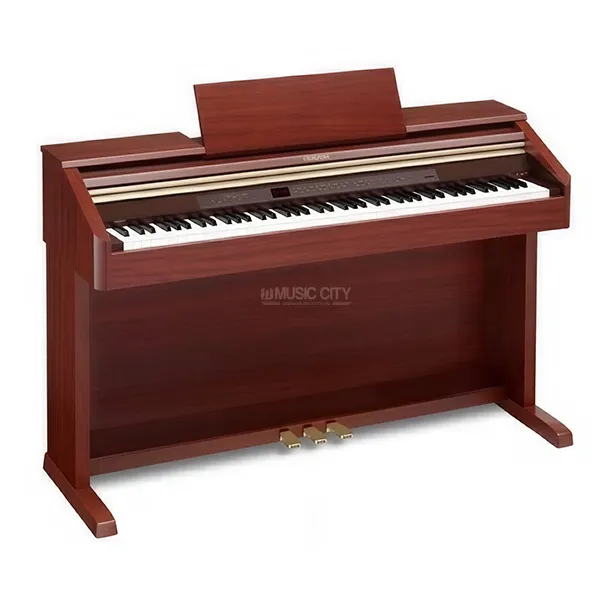 Music City – Tổng Kho Piano, Guitar, Organ | Dịch Vụ Giáo Dục Âm Nhạc