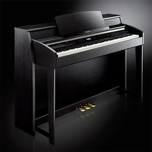 Music City – Tổng Kho Piano, Guitar, Organ | Dịch Vụ Giáo Dục Âm Nhạc