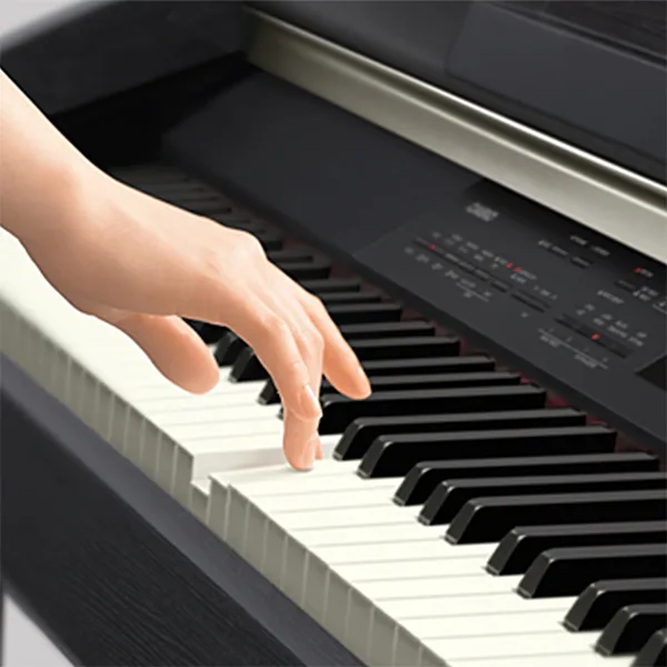 Music City – Tổng Kho Piano, Guitar, Organ | Dịch Vụ Giáo Dục Âm Nhạc