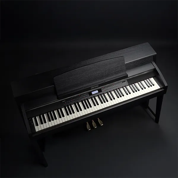 Music City – Tổng Kho Piano, Guitar, Organ | Dịch Vụ Giáo Dục Âm Nhạc