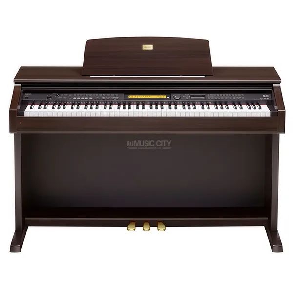 Music City – Tổng Kho Piano, Guitar, Organ | Dịch Vụ Giáo Dục Âm Nhạc