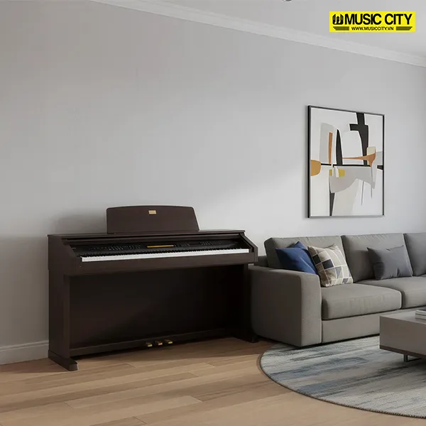 Music City – Tổng Kho Piano, Guitar, Organ | Dịch Vụ Giáo Dục Âm Nhạc