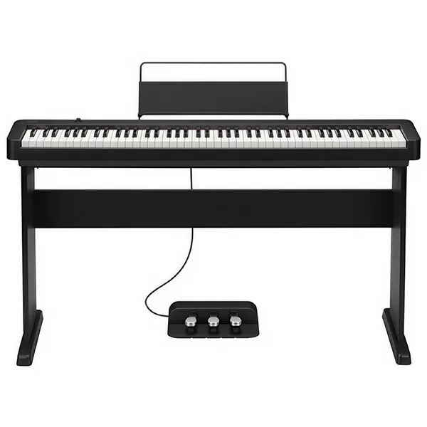 Music City – Tổng Kho Piano, Guitar, Organ | Dịch Vụ Giáo Dục Âm Nhạc