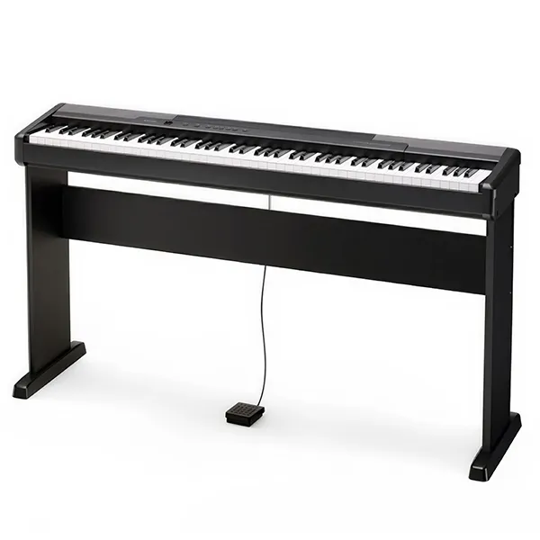 Music City – Tổng Kho Piano, Guitar, Organ | Dịch Vụ Giáo Dục Âm Nhạc