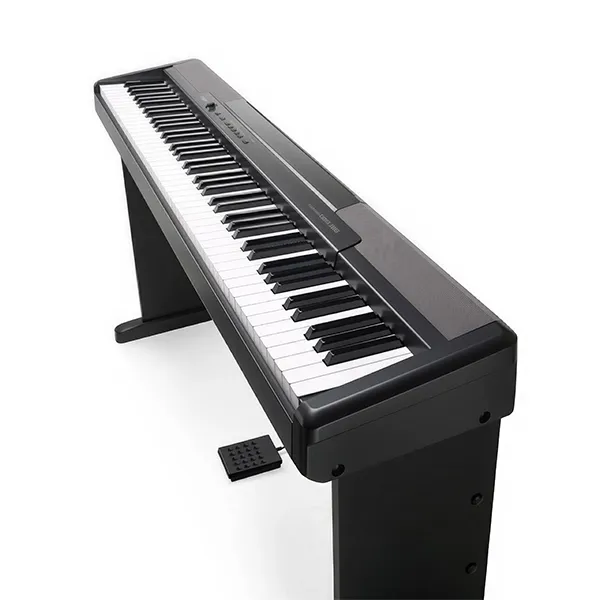 Music City – Tổng Kho Piano, Guitar, Organ | Dịch Vụ Giáo Dục Âm Nhạc