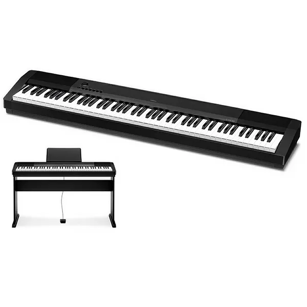 Music City – Tổng Kho Piano, Guitar, Organ | Dịch Vụ Giáo Dục Âm Nhạc