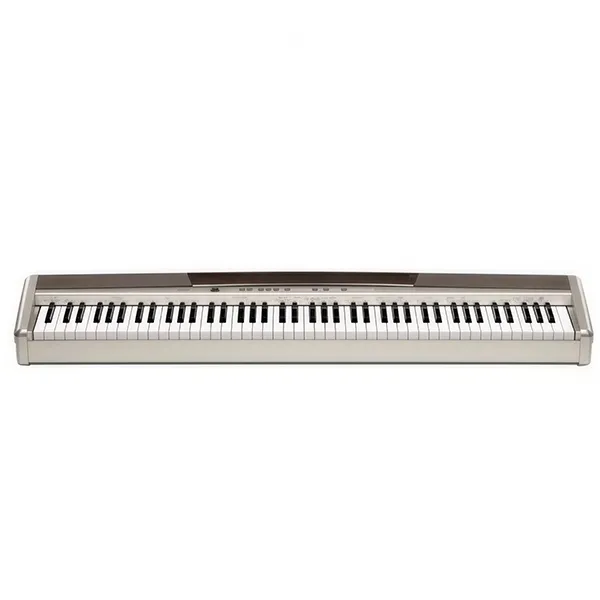 Music City – Tổng Kho Piano, Guitar, Organ | Dịch Vụ Giáo Dục Âm Nhạc