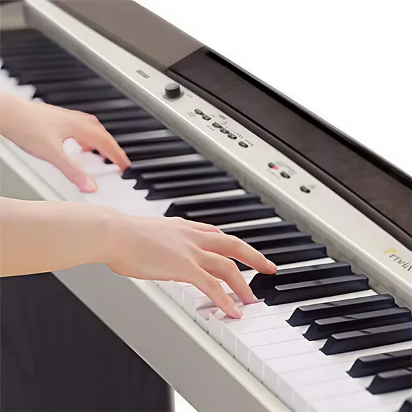 Music City – Tổng Kho Piano, Guitar, Organ | Dịch Vụ Giáo Dục Âm Nhạc