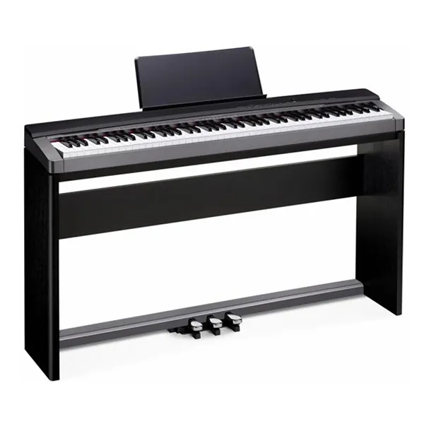 Music City – Tổng Kho Piano, Guitar, Organ | Dịch Vụ Giáo Dục Âm Nhạc