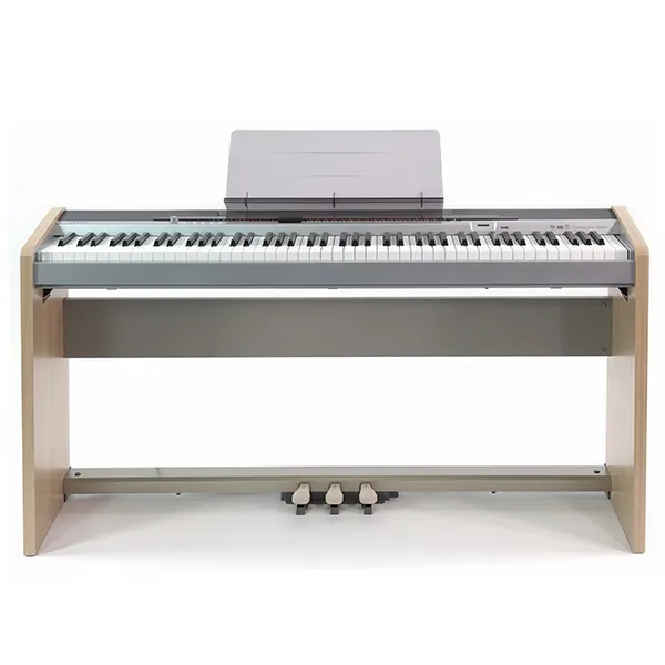 Music City – Tổng Kho Piano, Guitar, Organ | Dịch Vụ Giáo Dục Âm Nhạc