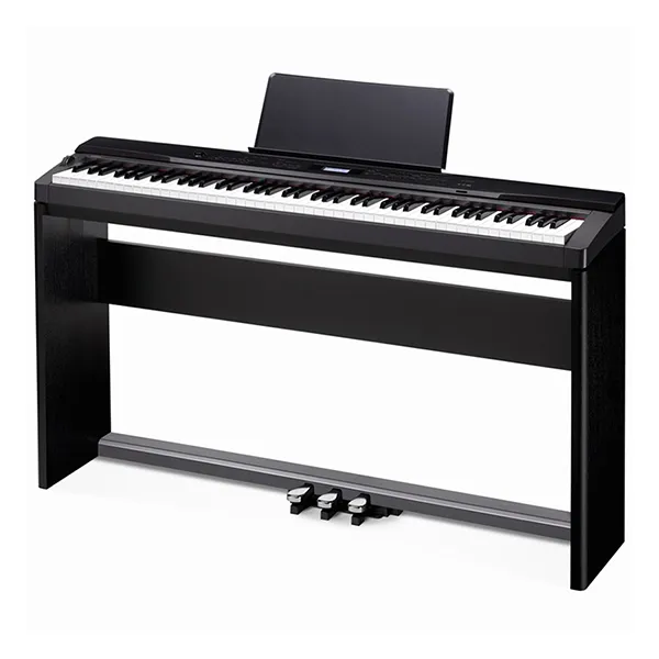 Music City – Tổng Kho Piano, Guitar, Organ | Dịch Vụ Giáo Dục Âm Nhạc