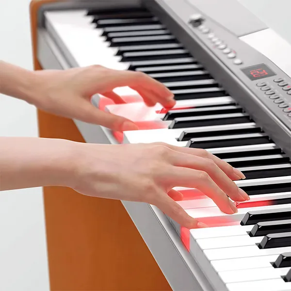 Music City – Tổng Kho Piano, Guitar, Organ | Dịch Vụ Giáo Dục Âm Nhạc