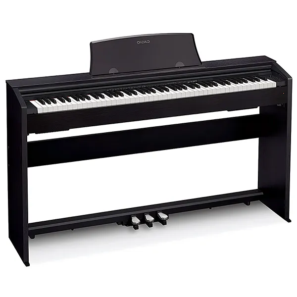 Music City – Tổng Kho Piano, Guitar, Organ | Dịch Vụ Giáo Dục Âm Nhạc