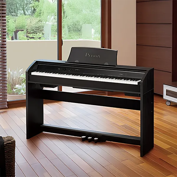 Music City – Tổng Kho Piano, Guitar, Organ | Dịch Vụ Giáo Dục Âm Nhạc