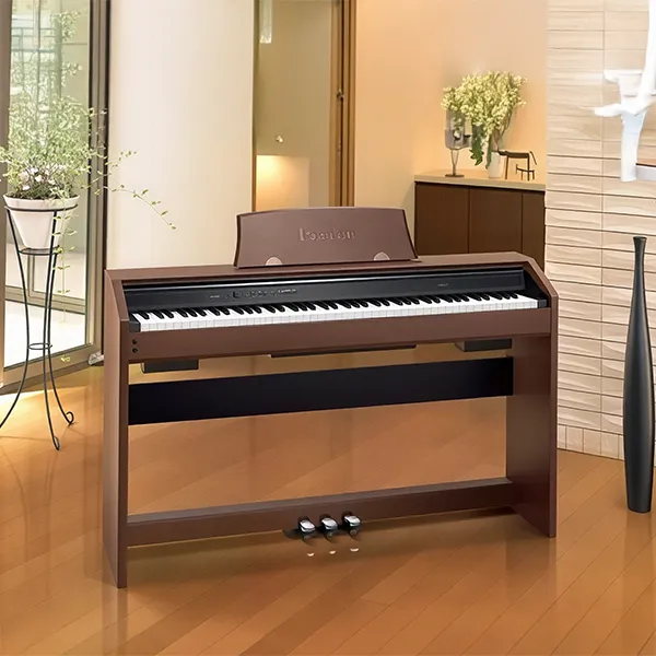 Music City – Tổng Kho Piano, Guitar, Organ | Dịch Vụ Giáo Dục Âm Nhạc