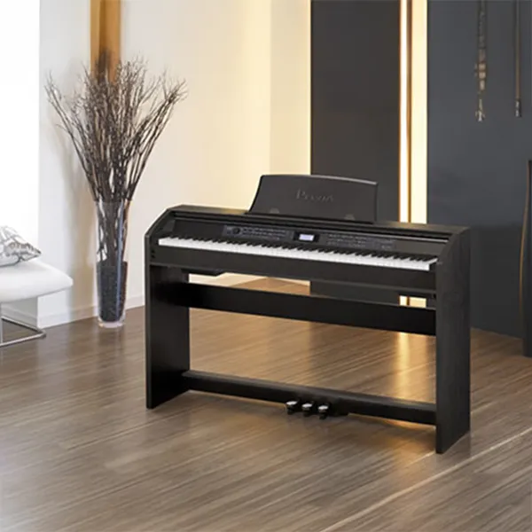 Music City – Tổng Kho Piano, Guitar, Organ | Dịch Vụ Giáo Dục Âm Nhạc
