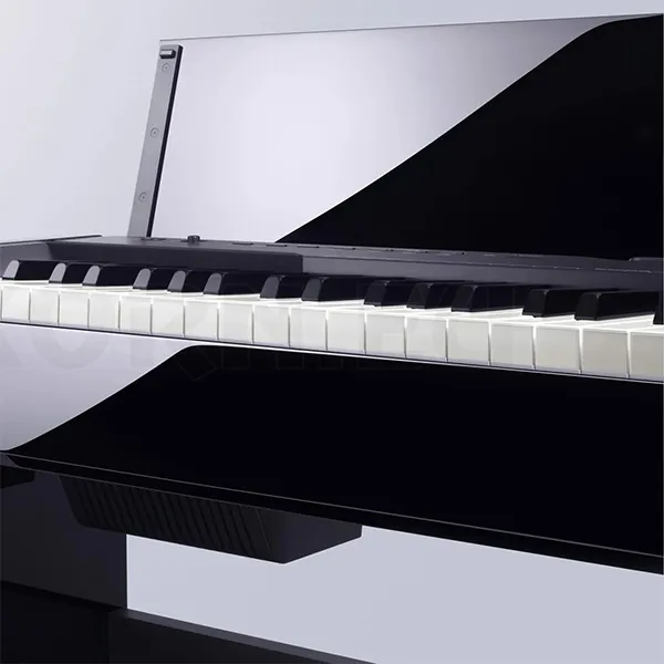 Music City – Tổng Kho Piano, Guitar, Organ | Dịch Vụ Giáo Dục Âm Nhạc