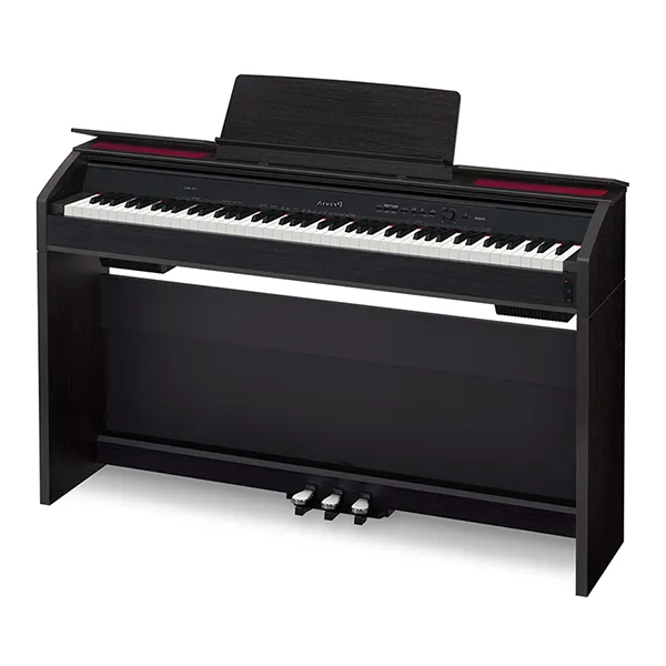 Music City – Tổng Kho Piano, Guitar, Organ | Dịch Vụ Giáo Dục Âm Nhạc