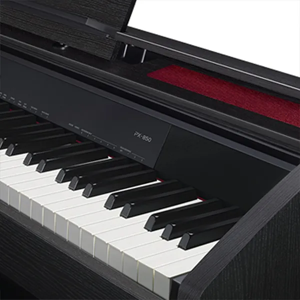dan-piano-casio-px850-musiccity