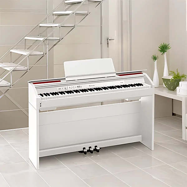 Music City – Tổng Kho Piano, Guitar, Organ | Dịch Vụ Giáo Dục Âm Nhạc