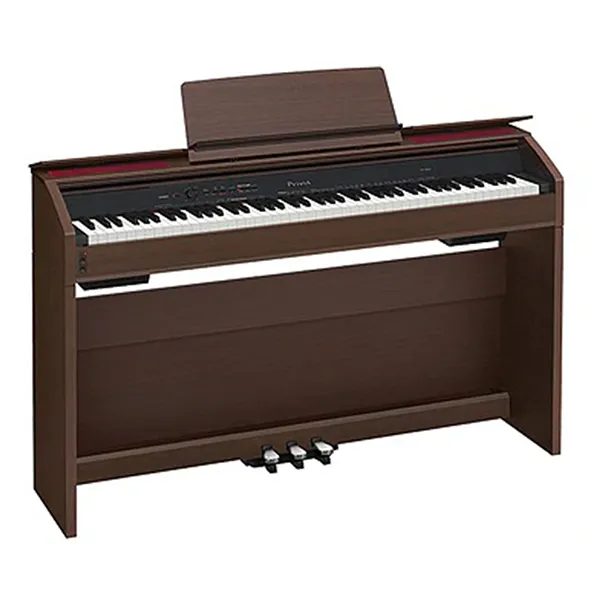 Music City – Tổng Kho Piano, Guitar, Organ | Dịch Vụ Giáo Dục Âm Nhạc