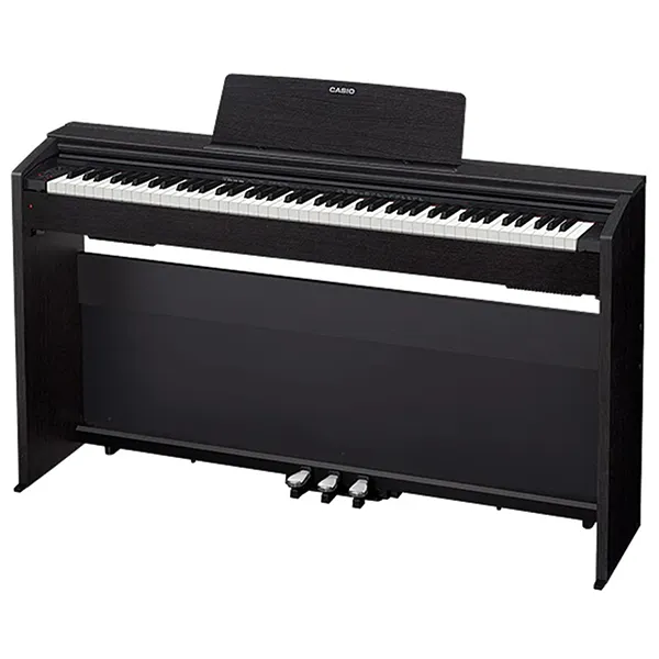 Music City – Tổng Kho Piano, Guitar, Organ | Dịch Vụ Giáo Dục Âm Nhạc