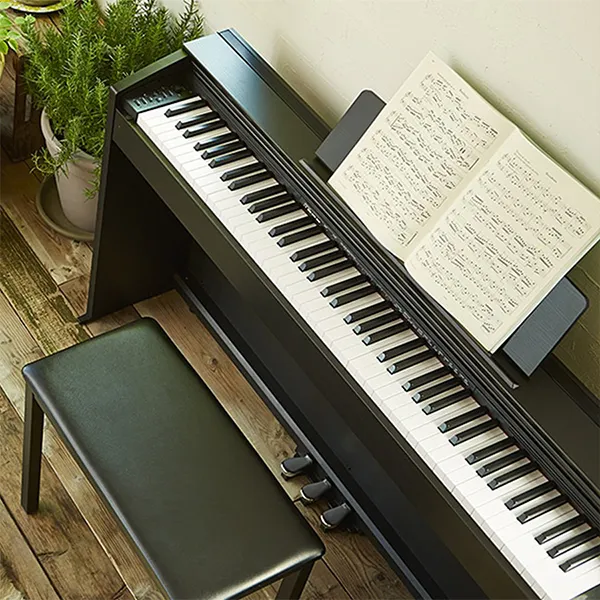 Music City – Tổng Kho Piano, Guitar, Organ | Dịch Vụ Giáo Dục Âm Nhạc