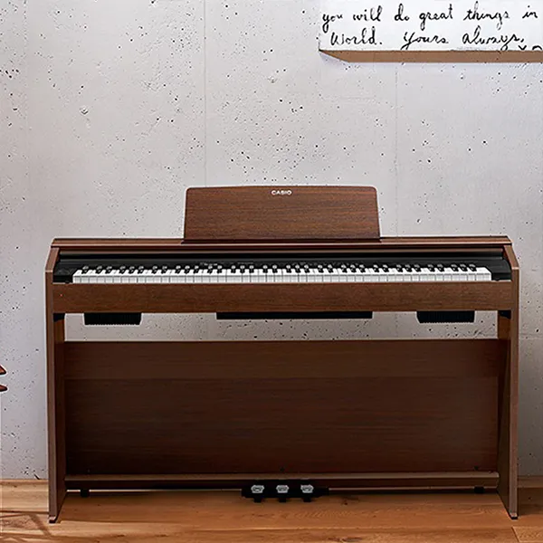 Music City – Tổng Kho Piano, Guitar, Organ | Dịch Vụ Giáo Dục Âm Nhạc