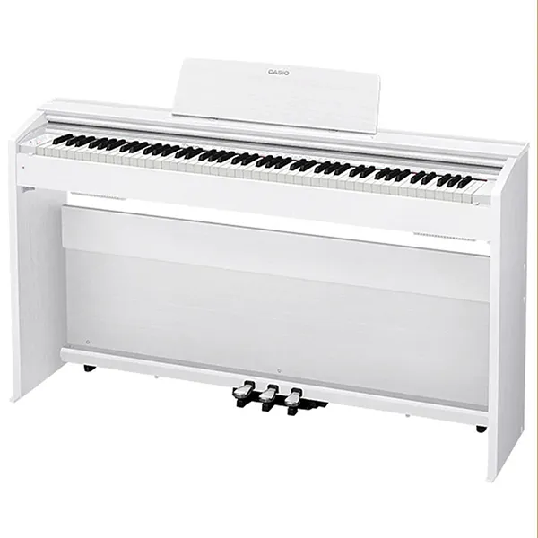 Music City – Tổng Kho Piano, Guitar, Organ | Dịch Vụ Giáo Dục Âm Nhạc