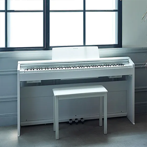 Music City – Tổng Kho Piano, Guitar, Organ | Dịch Vụ Giáo Dục Âm Nhạc