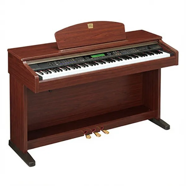 Music City – Tổng Kho Piano, Guitar, Organ | Dịch Vụ Giáo Dục Âm Nhạc