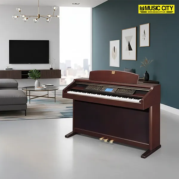 Music City – Tổng Kho Piano, Guitar, Organ | Dịch Vụ Giáo Dục Âm Nhạc