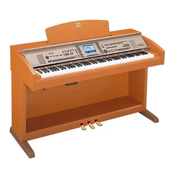Music City – Tổng Kho Piano, Guitar, Organ | Dịch Vụ Giáo Dục Âm Nhạc