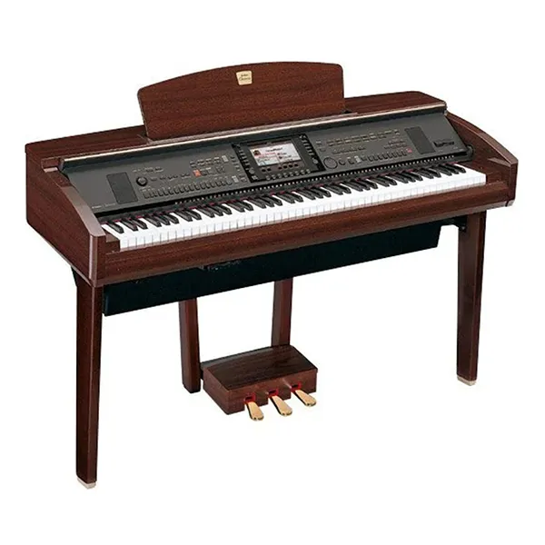Music City – Tổng Kho Piano, Guitar, Organ | Dịch Vụ Giáo Dục Âm Nhạc
