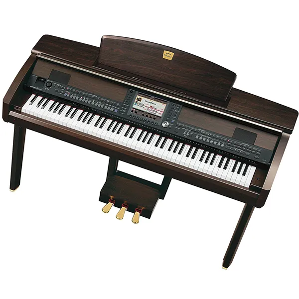 Music City – Tổng Kho Piano, Guitar, Organ | Dịch Vụ Giáo Dục Âm Nhạc