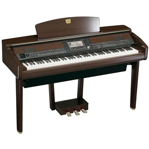 Music City – Tổng Kho Piano, Guitar, Organ | Dịch Vụ Giáo Dục Âm Nhạc