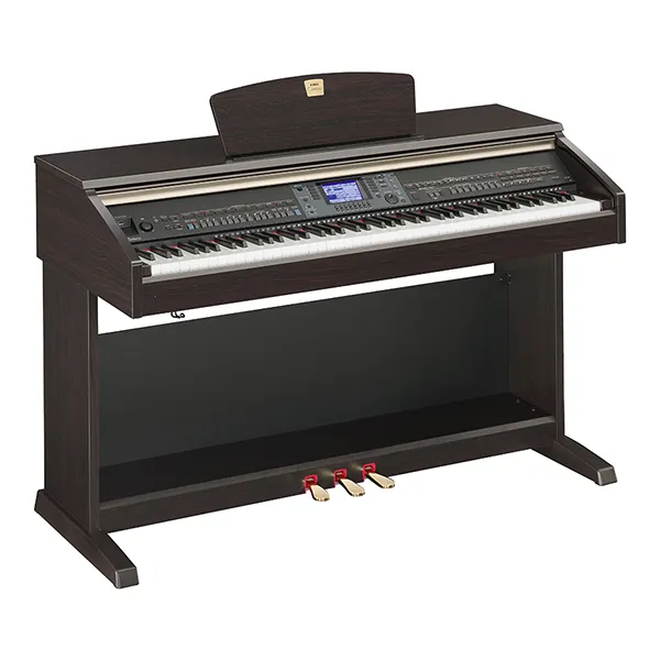 Music City – Tổng Kho Piano, Guitar, Organ | Dịch Vụ Giáo Dục Âm Nhạc