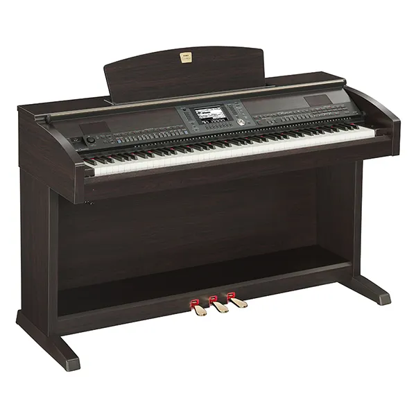 Music City – Tổng Kho Piano, Guitar, Organ | Dịch Vụ Giáo Dục Âm Nhạc