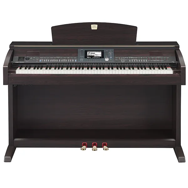 Music City – Tổng Kho Piano, Guitar, Organ | Dịch Vụ Giáo Dục Âm Nhạc