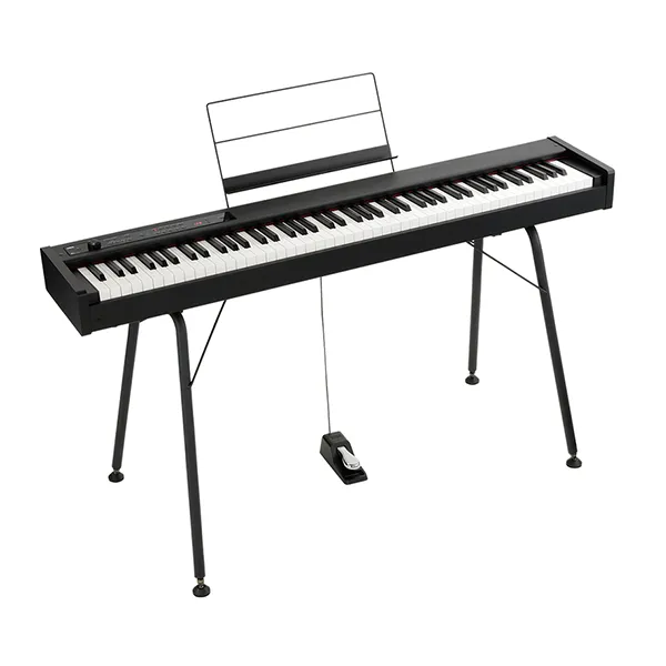 Music City – Tổng Kho Piano, Guitar, Organ | Dịch Vụ Giáo Dục Âm Nhạc