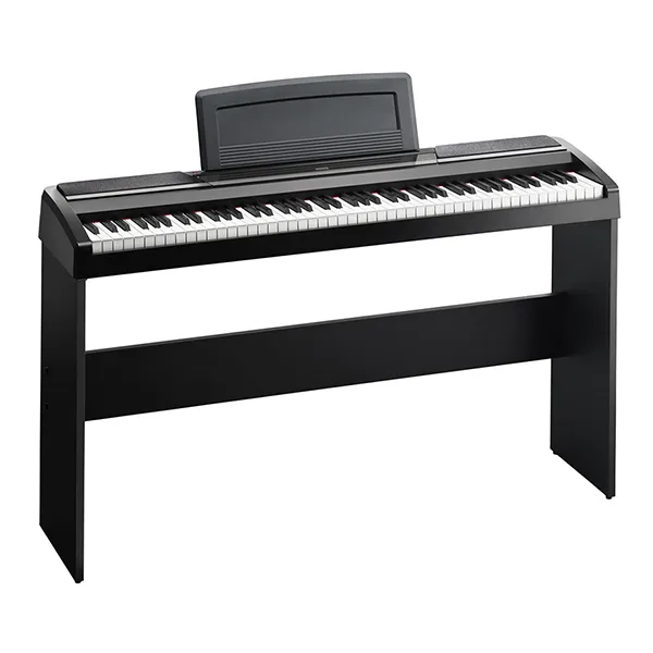 Music City – Tổng Kho Piano, Guitar, Organ | Dịch Vụ Giáo Dục Âm Nhạc