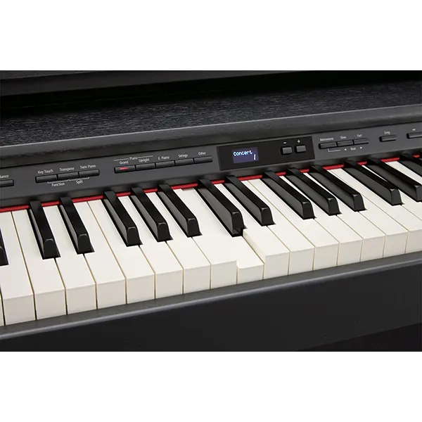 Music City – Tổng Kho Piano, Guitar, Organ | Dịch Vụ Giáo Dục Âm Nhạc