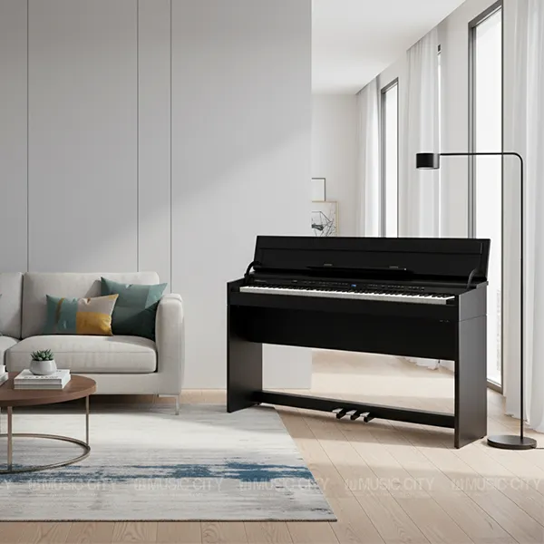 Music City – Tổng Kho Piano, Guitar, Organ | Dịch Vụ Giáo Dục Âm Nhạc