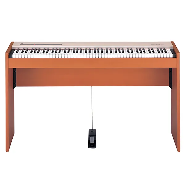 Music City – Tổng Kho Piano, Guitar, Organ | Dịch Vụ Giáo Dục Âm Nhạc