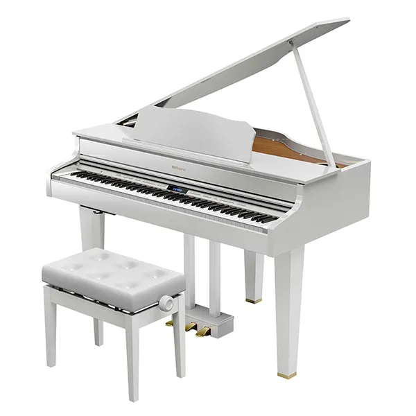 Music City – Tổng Kho Piano, Guitar, Organ | Dịch Vụ Giáo Dục Âm Nhạc