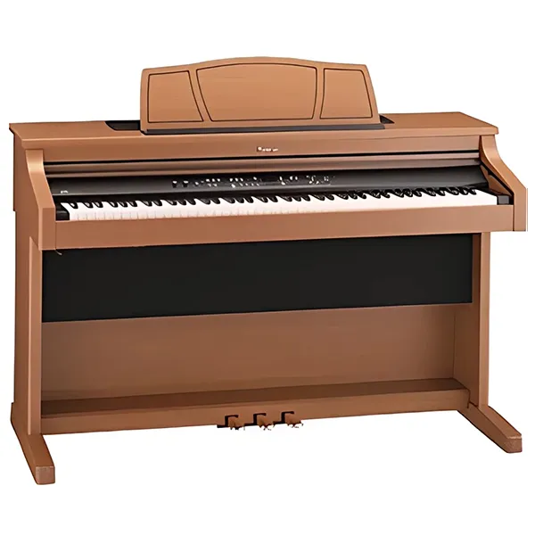 Music City – Tổng Kho Piano, Guitar, Organ | Dịch Vụ Giáo Dục Âm Nhạc
