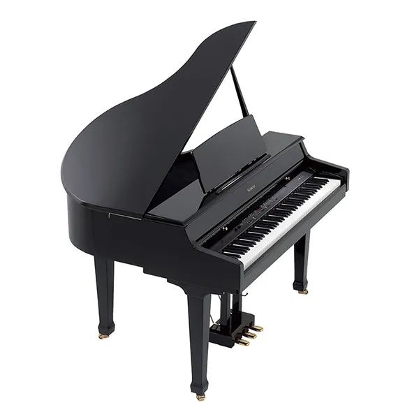 Music City – Tổng Kho Piano, Guitar, Organ | Dịch Vụ Giáo Dục Âm Nhạc