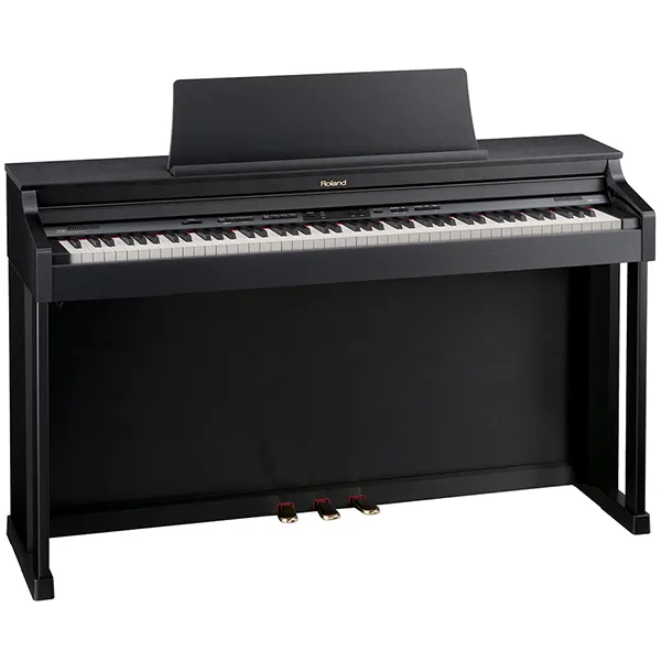 Music City – Tổng Kho Piano, Guitar, Organ | Dịch Vụ Giáo Dục Âm Nhạc